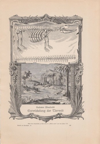 Antike zeitschrift von 1902 - antike,